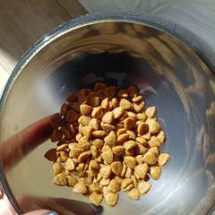 Фото отзыва 11122904