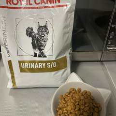 Фото отзыва 10718987