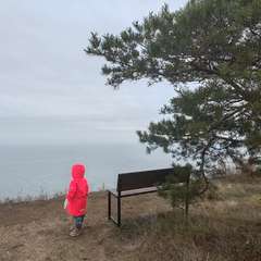 Фото отзыва 10562222