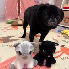 Фото отзыва 10848977