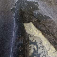 Фото отзыва 10636804