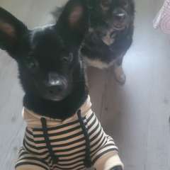 Фото отзыва 10755276