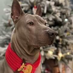 Фото отзыва 10544947