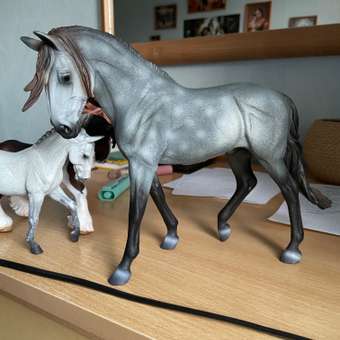 Фигурка Collecta Жеребец Андалузский: отзыв пользователя Детский Мир