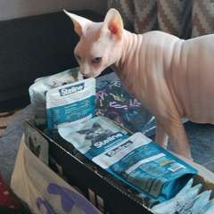 Фото отзыва 11010571