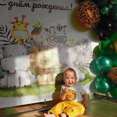 Фото отзыва 11162029