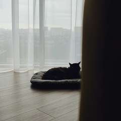 Видео отзыва 11115273