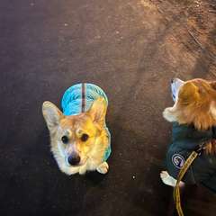 Фото отзыва 3913147