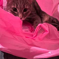 Фото отзыва 10757605