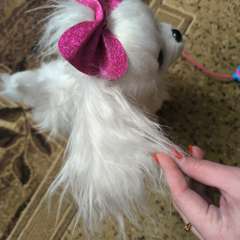 Фото отзыва 10839960