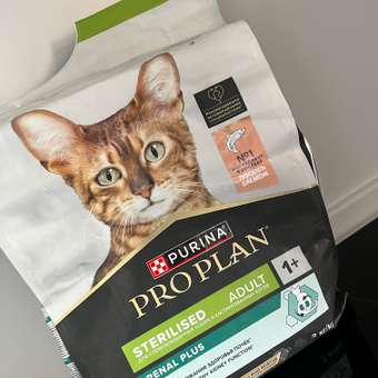 Корм сухой для кошек PRO PLAN RENAL PLUS 3 кг с лососем для стерилизованных: отзыв пользователя. Зоомагазин Зоозавр