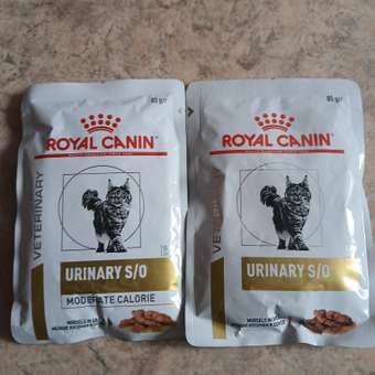 Корм для кошек ROYAL CANIN Urinary s/o moderate calorie от мочекаменной болезни 85г: отзыв пользователя. Зоомагазин Зоозавр