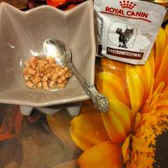 Фото отзыва 10578280