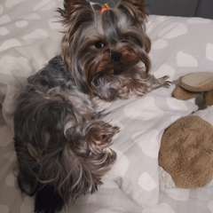 Фото отзыва 10715566