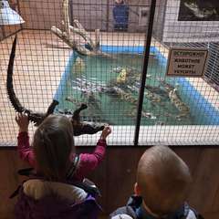 Фото отзыва 10840900