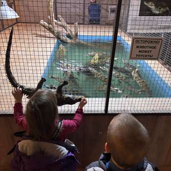 Игровой набор Attivio Крокодил: отзыв пользователя Детский Мир