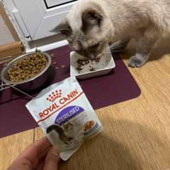 Фото отзыва 10533711