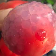 Фото отзыва 10963347