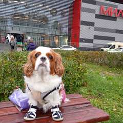 Фото отзыва 10512214