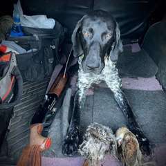 Фото отзыва 10577642