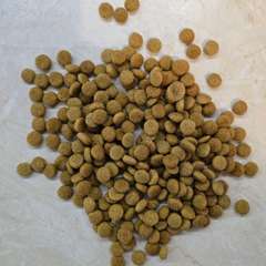 Фото отзыва 10524238