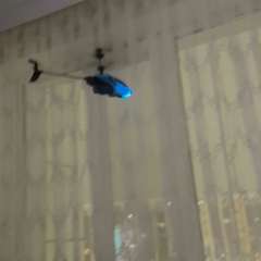 Видео отзыва 8327556