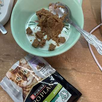 Корм влажный для кошек PRO PLAN MAINTENANCE 75г паштет с индейкой для стерилизованных: отзыв пользователя. Зоомагазин Зоозавр