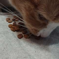 Фото отзыва 10787500