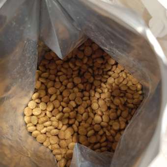Корм сухой ROYAL CANIN Sterilised 37 2кг для стерилизованных кошек: отзыв пользователя. Зоомагазин Зоозавр