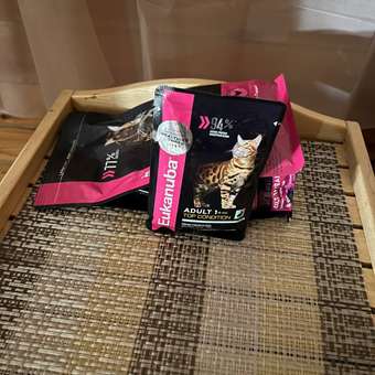 Корм влажный для кошек Eukanuba Cat 85г с кроликом в соусе для взрослых пауч: отзыв пользователя. Зоомагазин Зоозавр