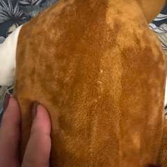 Фото отзыва 10553128