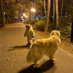 Фото отзыва 8492212