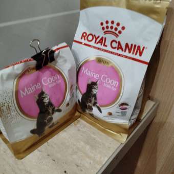 Корм для котят Royal Canin 400г Maine Coon породы мейн-кун: отзыв пользователя. Зоомагазин Зоозавр