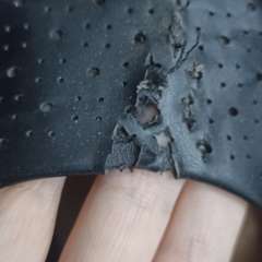 Фото отзыва 2869266