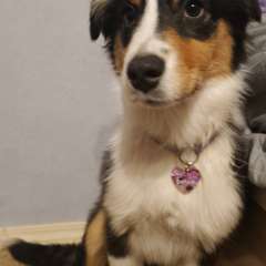 Фото отзыва 10636402