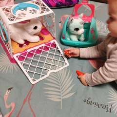 Фото отзыва 10874154