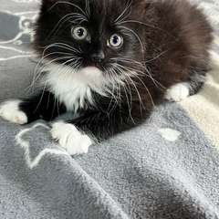 Фото отзыва 10746189