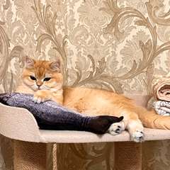 Фото отзыва 10581786