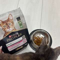 Фото отзыва 10961585