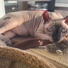 Фото отзыва 10905075