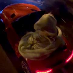 Видео отзыва 10348242