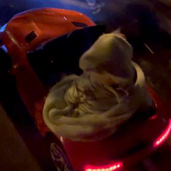 Электромобиль Kreiss с ПУ красный С пультом ДУ: отзыв пользователя Детский Мир