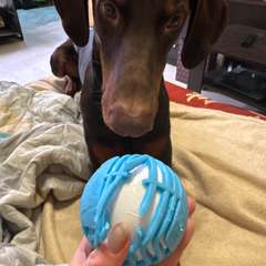 Фото отзыва 10826979