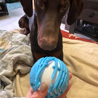 Игрушка для собак Barbaks Мячик хрустящий 8см: отзыв пользователя. Зоомагазин Зоозавр