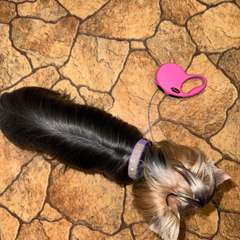 Фото отзыва 11266826