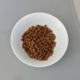 Корм сухой для кошек PRO PLAN DELICATE DIGESTION 1.5 кг с ягненком: отзыв пользователя. Зоомагазин Зоозавр
