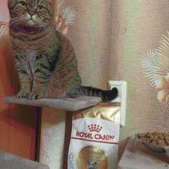 Фото отзыва 10759382