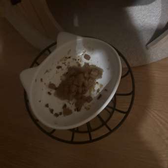 Корм для котят Royal Canin 85г Kitten Sterilised желе для стерилизованных котят пауч: отзыв пользователя. Зоомагазин Зоозавр