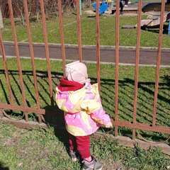 Фото отзыва 11334800