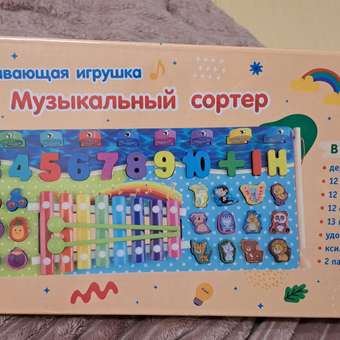 Игрушка ND PLAY сортер: отзыв пользователя Детский Мир